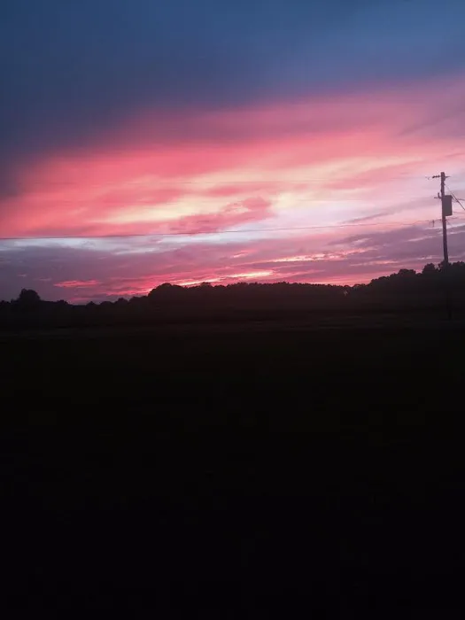 Whispering Oaks Campground Picture 2