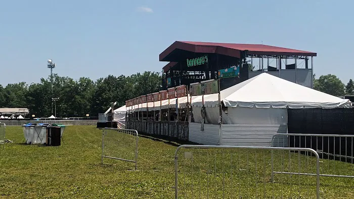 Bonnaroo group campsite Picture 2