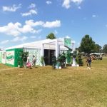 Bonnaroo group campsite