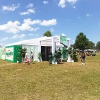 Bonnaroo group campsite ico