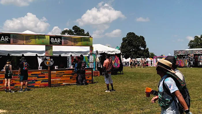 Bonnaroo group campsite Picture 3