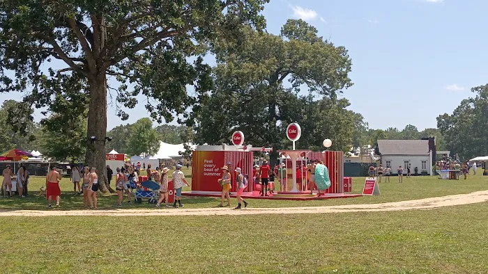 Bonnaroo group campsite Picture 7