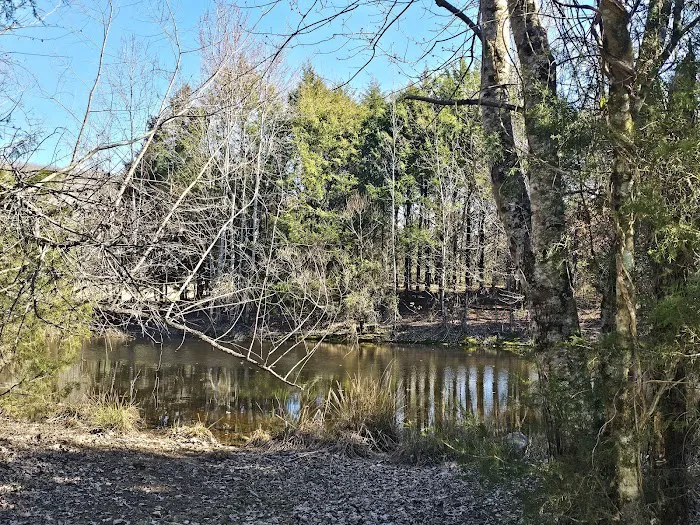 Ole Limestone - Camping Picture 9