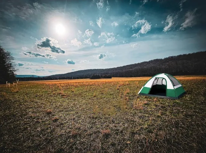 Ole Limestone - Camping Picture 1