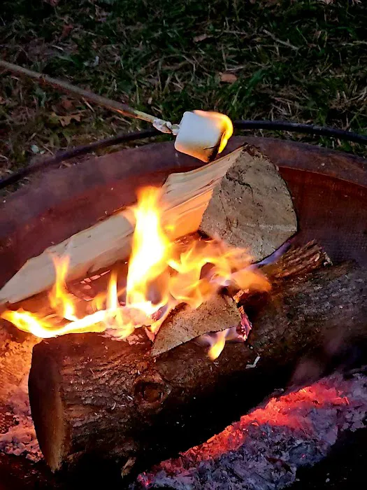 Ole Limestone - Camping Picture 4