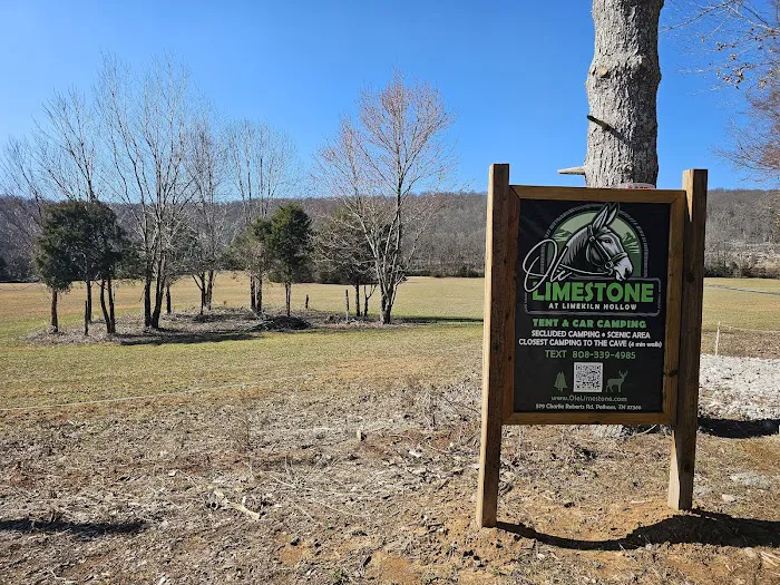 Ole Limestone - Camping Picture 5