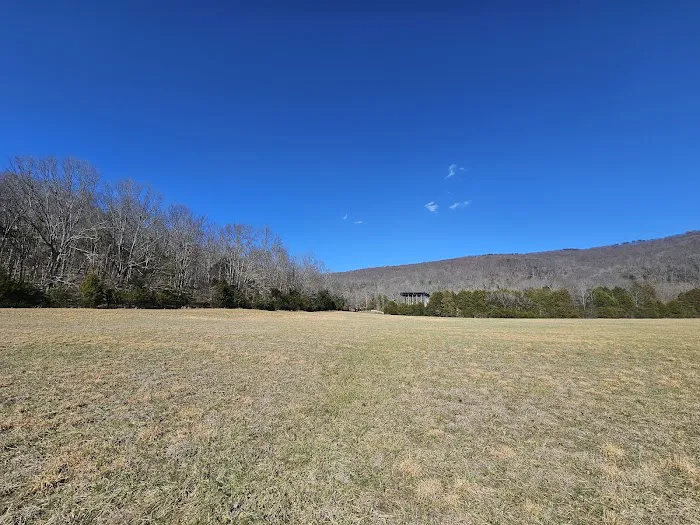 Ole Limestone - Camping Picture 3