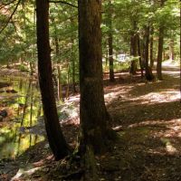 Hickey Gap Campground ico