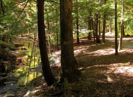 Hickey Gap Campground