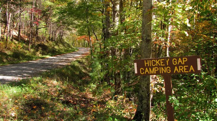 Hickey Gap Campground Picture 5