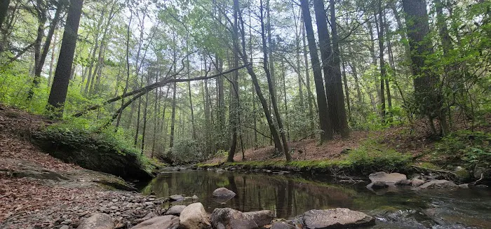 Hickey Gap Campground Picture 9