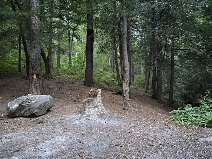 Hickey Gap Campground Picture 10