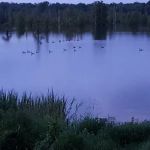 Darrell Brannon RV Park
