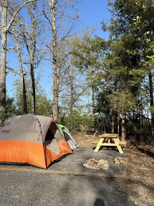 Grassy Road Cabins and Camping Picture 6