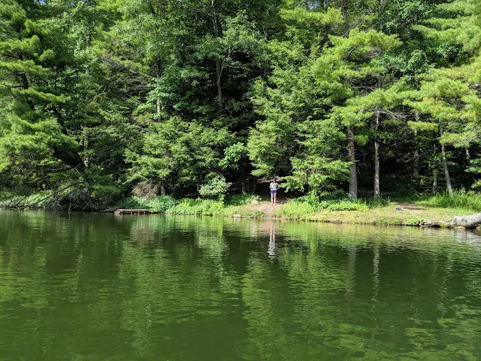 Lake Conasauga Campground Picture 1