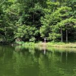 Lake Conasauga Campground