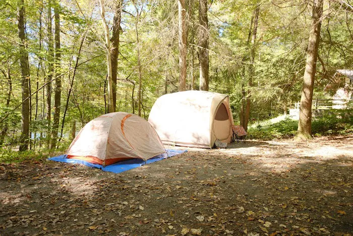 Lake Conasauga Campground Picture 2