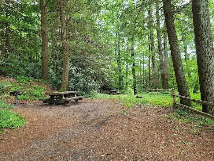 Lake Conasauga Campground Picture 4