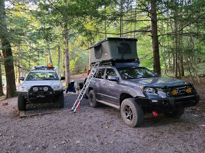 Lake Conasauga Campground Picture 7
