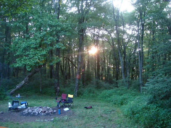 Public Camping Field Picture 5