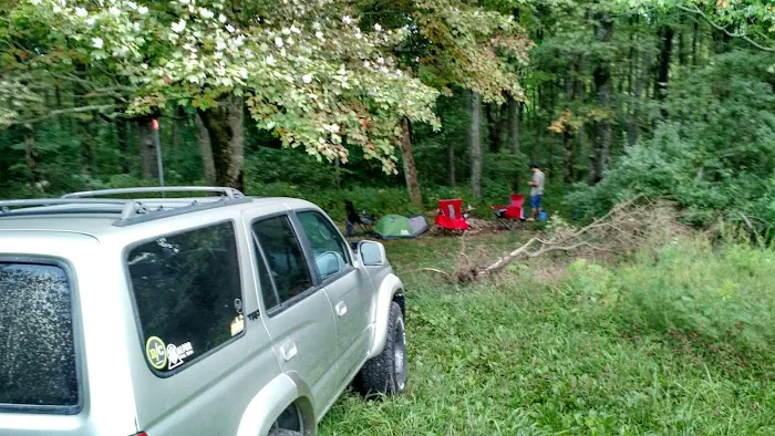Public Camping Field Picture 7