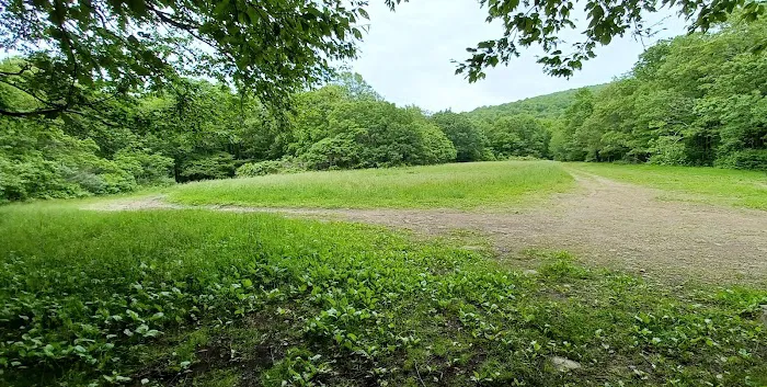Ball Field Dispersed Camping Area (recgovnpsdata) Picture 4