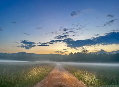 Blue Moon Campground