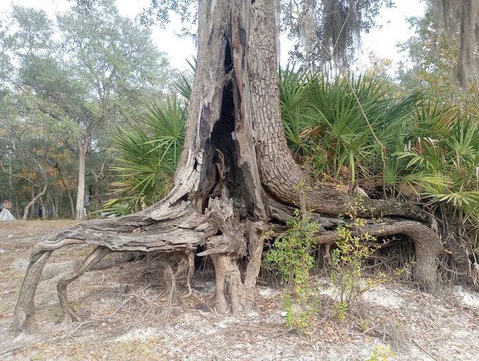 Barrington County Park Picture 4