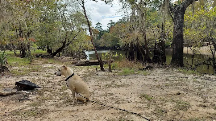 Barrington County Park Picture 5