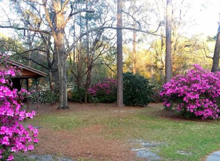 Yonder Woods Mobile Home & RV Park