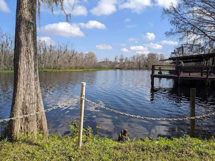 Lake Pan RV Village Picture 7
