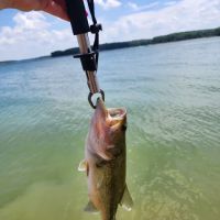 Lone Point Recreation Area ico