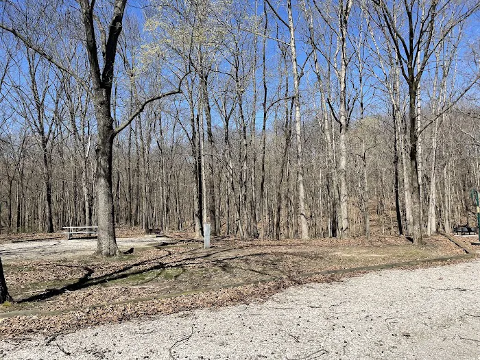 Coon Creek Recreation Area Picture 4