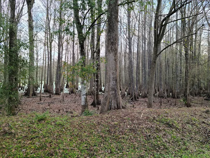 Sumter Oaks - Escapees RV Parks Picture 1