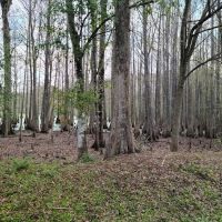 Sumter Oaks - Escapees RV Parks ico