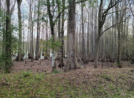Sumter Oaks - Escapees RV Parks