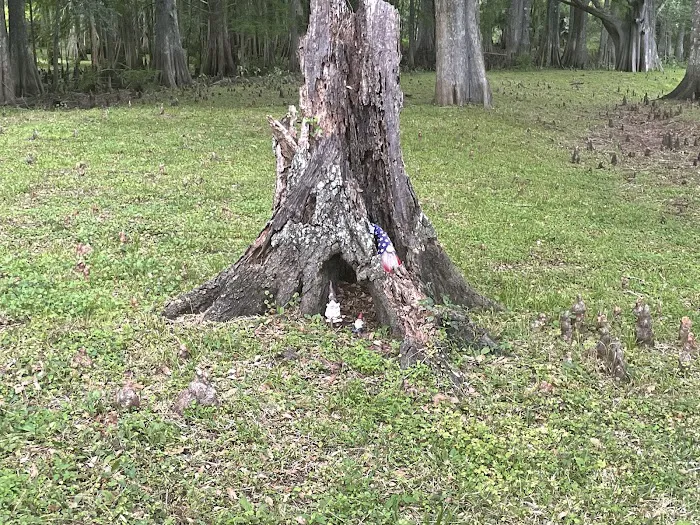 Sumter Oaks - Escapees RV Parks Picture 8