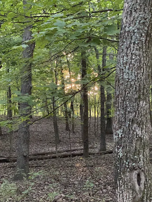 Opossum Creek Recreation Area Picture 7