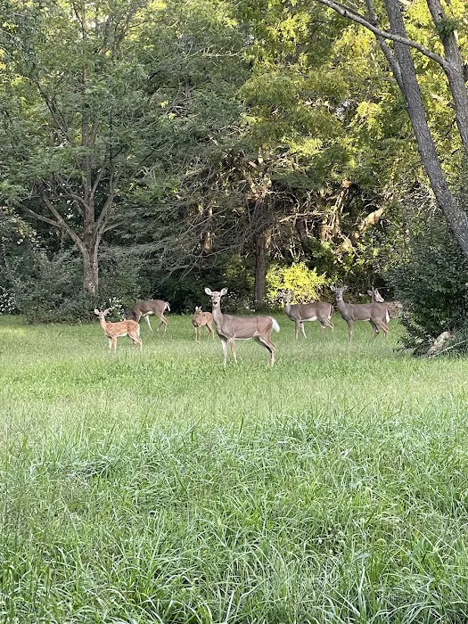 Opossum Creek Recreation Area Picture 10