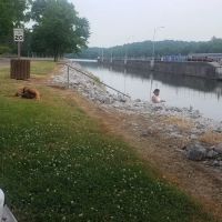 Cheatham Lock and Dam ico