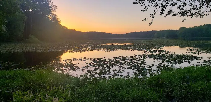 Lake Glendale Picture 3