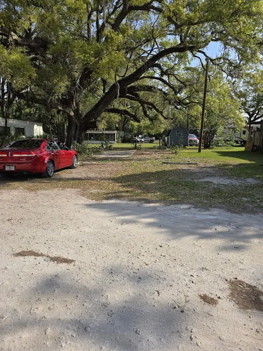 Tall Pines RV Park Picture 2