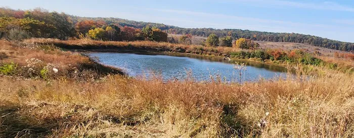 Pennant Bar Openland - Shawnee National Forest Picture 3