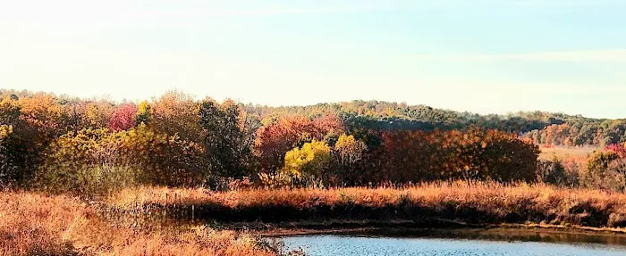 Pennant Bar Openland - Shawnee National Forest Picture 5