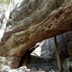 Redbud Campground
