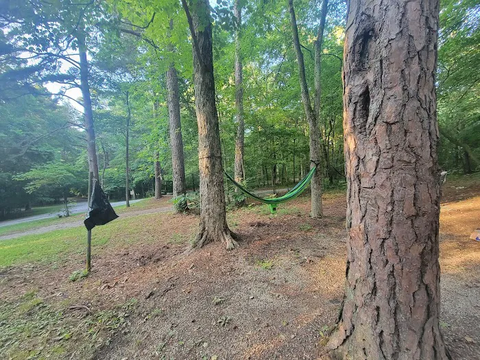 Redbud Campground Picture 7