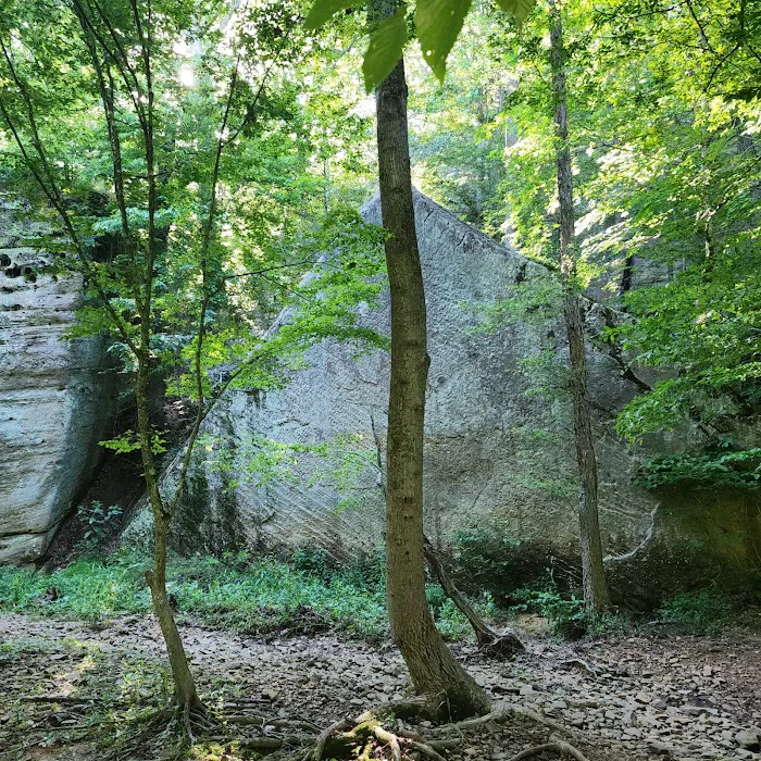 Redbud Campground Picture 6