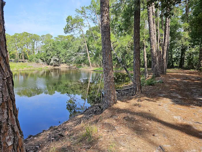 Bee's RV Resort Picture 9