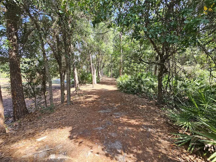 Bee's RV Resort Picture 5