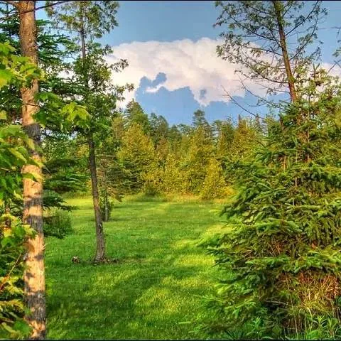 Mackinaw Mill Creek Camping Picture 4